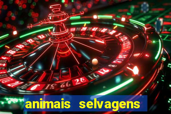 animais selvagens fotos e nomes